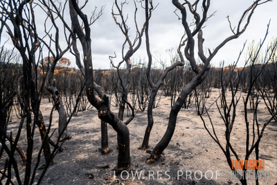 February 2020 / BSA_KI_191