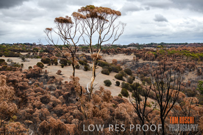 February 2020 / BSA_KI_195