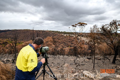 February 2020 / BSA_KI_196