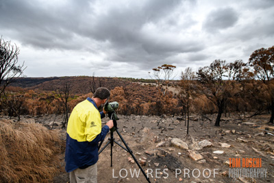 February 2020 / BSA_KI_197