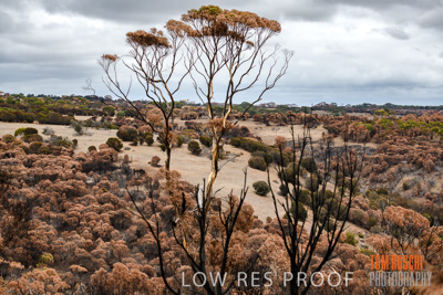 February 2020 / BSA_KI_198