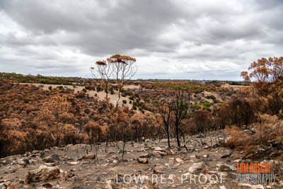 February 2020 / BSA_KI_201