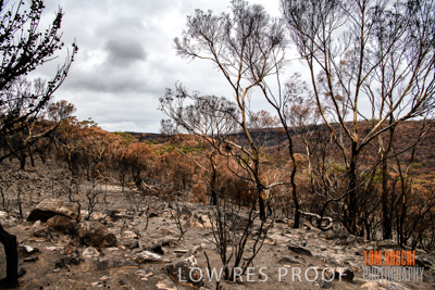 February 2020 / BSA_KI_202