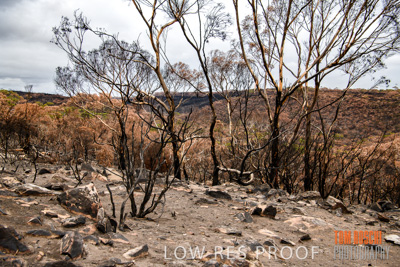 February 2020 / BSA_KI_203