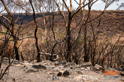 February 2020 / BSA_KI_204