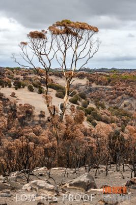 February 2020 / BSA_KI_205