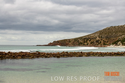 February 2020 / BSA_KI_206