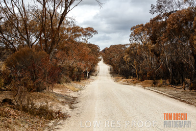 February 2020 / BSA_KI_216