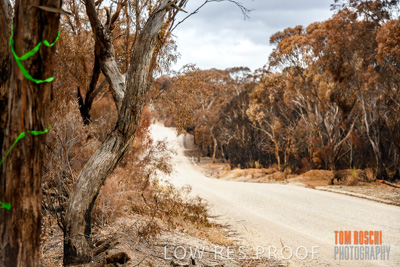 February 2020 / BSA_KI_217