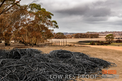 February 2020 / BSA_KI_225