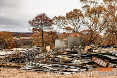 February 2020 / BSA_KI_226