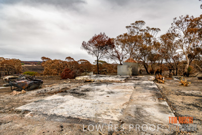 February 2020 / BSA_KI_228