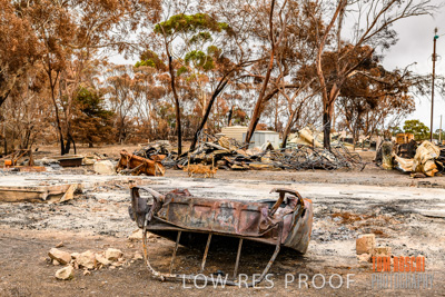 February 2020 / BSA_KI_229