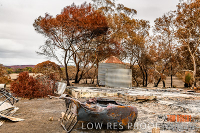 February 2020 / BSA_KI_231