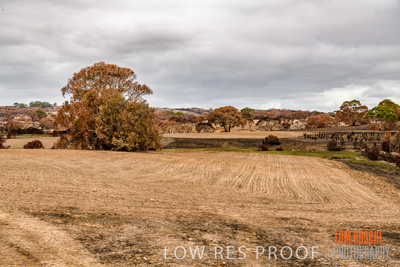 February 2020 / BSA_KI_234