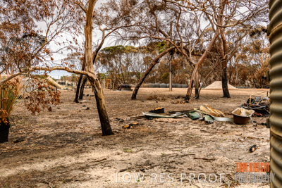 February 2020 / BSA_KI_236