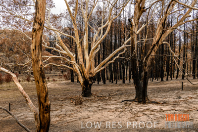 February 2020 / BSA_KI_276