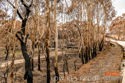 February 2020 / BSA_KI_280