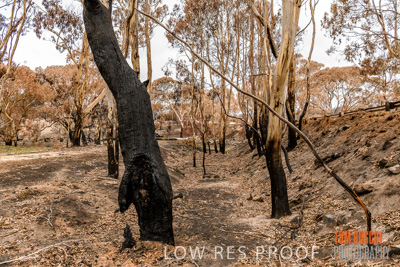 February 2020 / BSA_KI_281