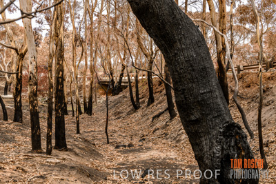 February 2020 / BSA_KI_282