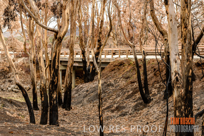 February 2020 / BSA_KI_283