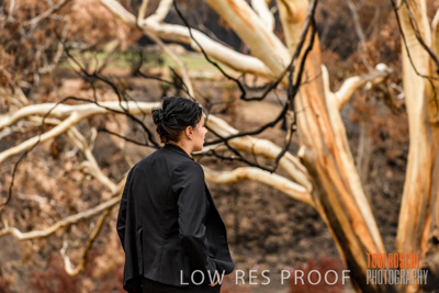 February 2020 / BSA_KI_290