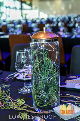 BSA_FOUNDATION_200221_032