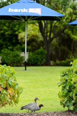 February 2021 / _D4P3557