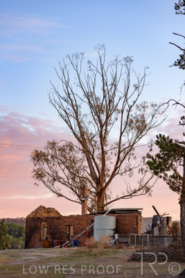 March 2020 / VERGARA_002