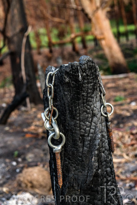 March 2020 / VERGARA_004