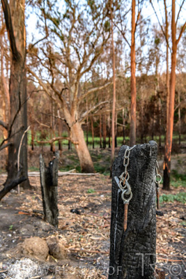 March 2020 / VERGARA_005