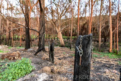 March 2020 / VERGARA_006