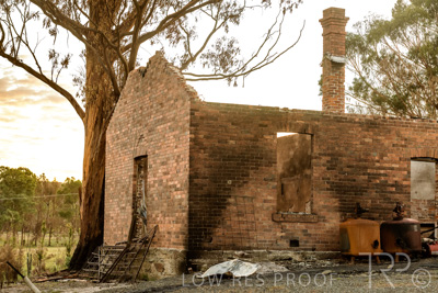 March 2020 / VERGARA_013