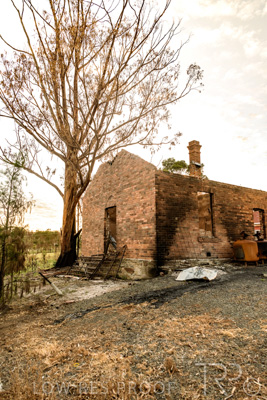 March 2020 / VERGARA_014