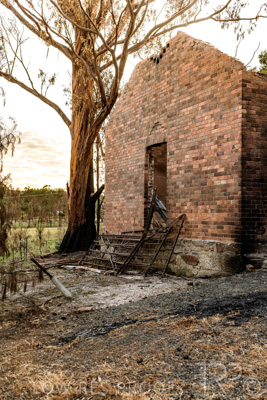 March 2020 / VERGARA_015