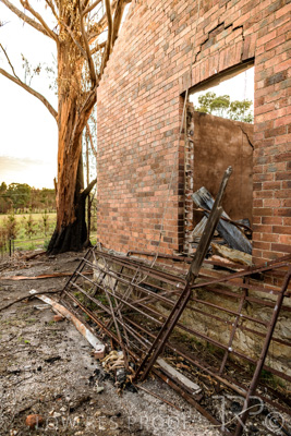 March 2020 / VERGARA_018