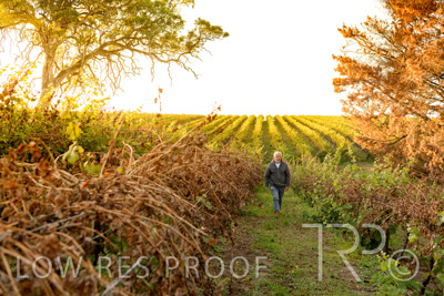 March 2020 / VERGARA_019