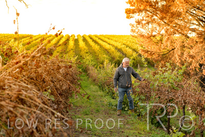 March 2020 / VERGARA_020