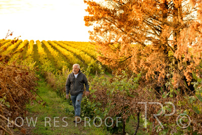 March 2020 / VERGARA_021