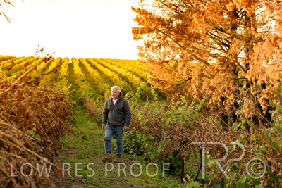 March 2020 / VERGARA_022