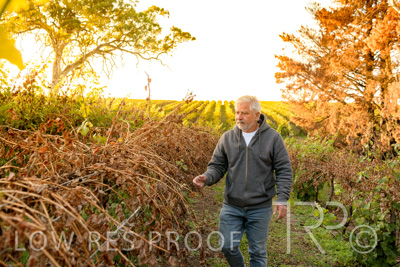 March 2020 / VERGARA_024