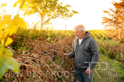 March 2020 / VERGARA_026