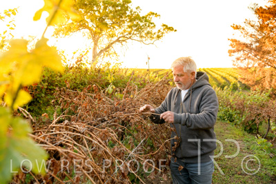 March 2020 / VERGARA_027