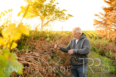 March 2020 / VERGARA_028