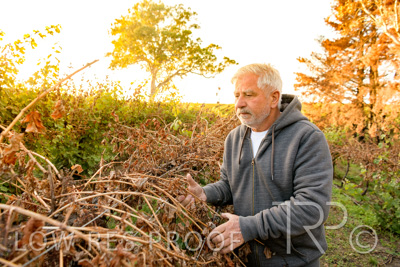 March 2020 / VERGARA_030