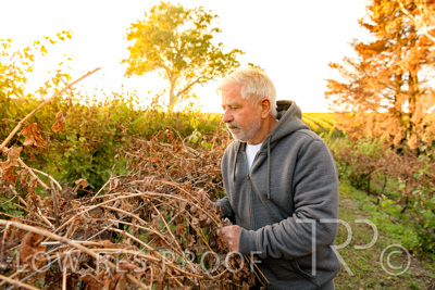 March 2020 / VERGARA_031