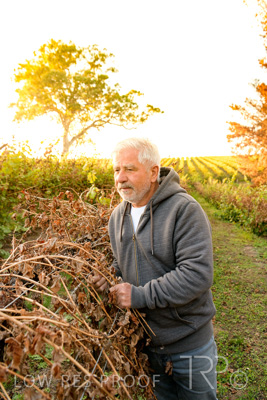 March 2020 / VERGARA_032