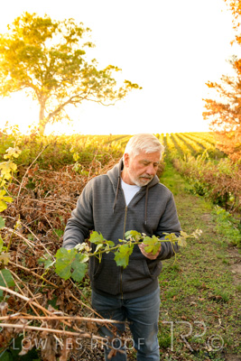 March 2020 / VERGARA_033