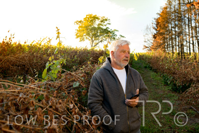 March 2020 / VERGARA_035