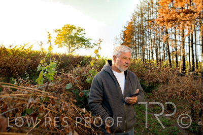 March 2020 / VERGARA_036